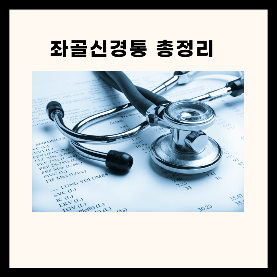 일상생활에서 발생할 수 있는 좌골신경통: 원인 및 증상 3가지와 치료법을 알아보자