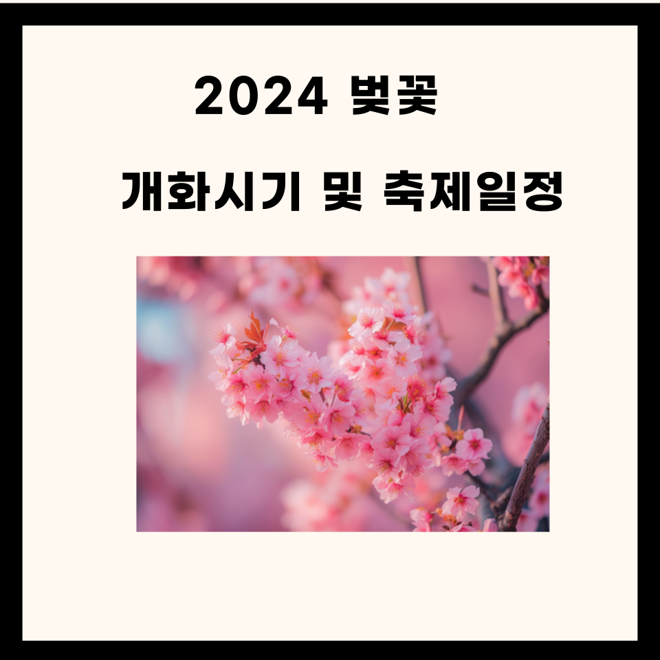 2024 벚꽂 개화시기 및 축제일정