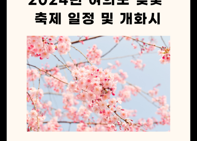 2024년 여의도 벚꽃 축제 일정 및 개화시기