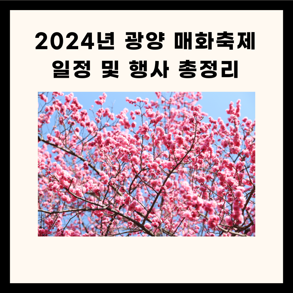 2024 광양 매화축제 일정 및 행사 총정리