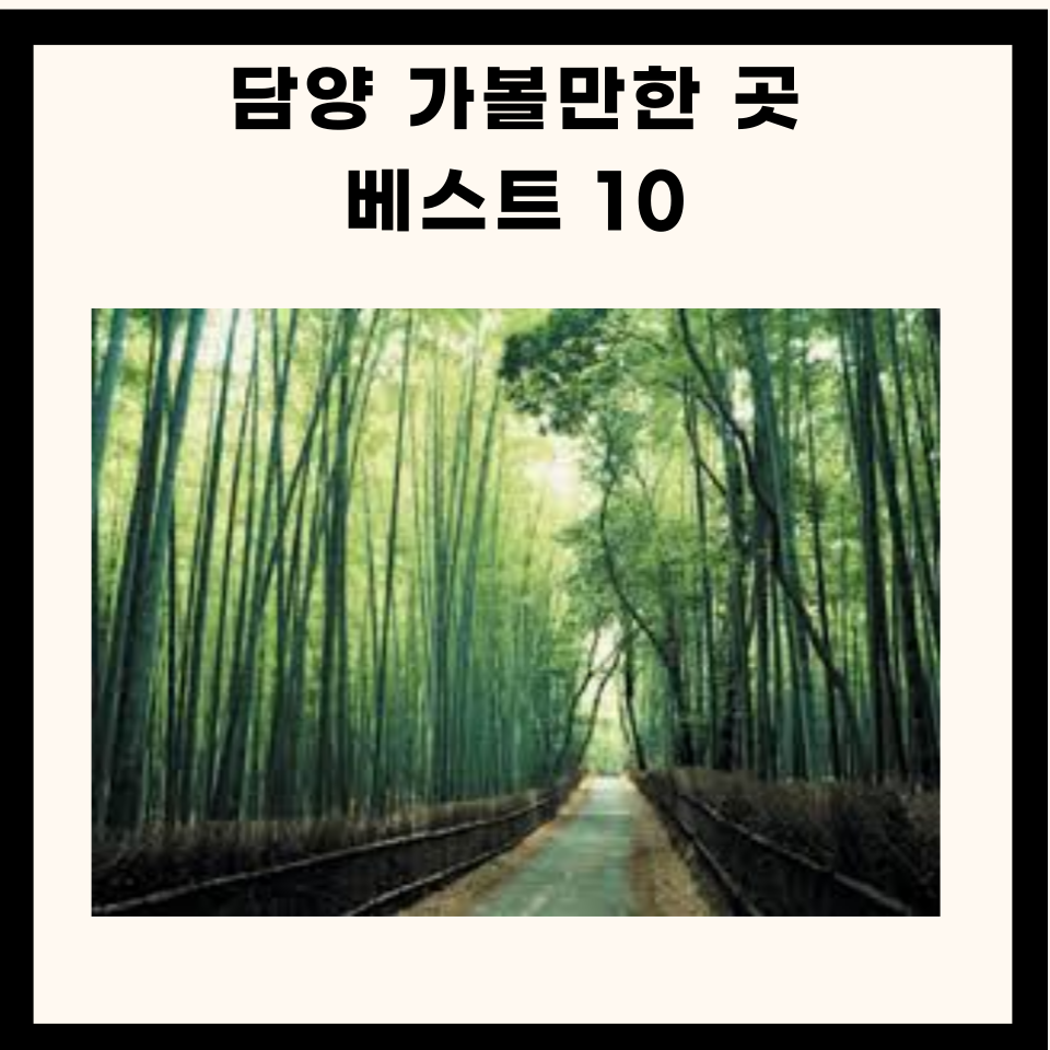 담양 가볼만한곳 best 10