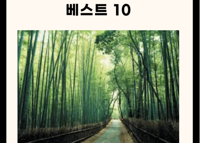 담양 가볼만한곳 best 10