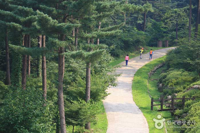 국내 여행정보