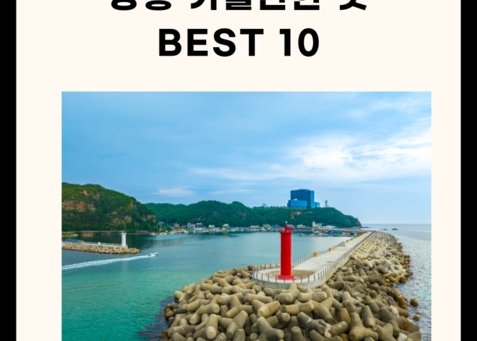 강릉 가볼만한 곳 best 10