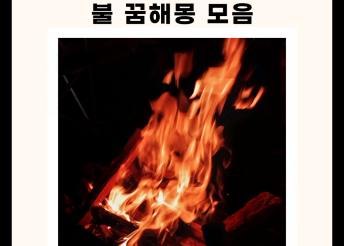 불 꿈해몽 모음집