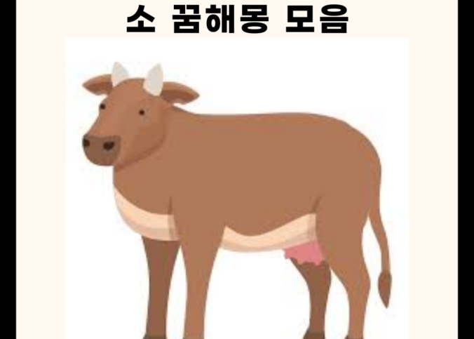 소 꿈해몽 모음집