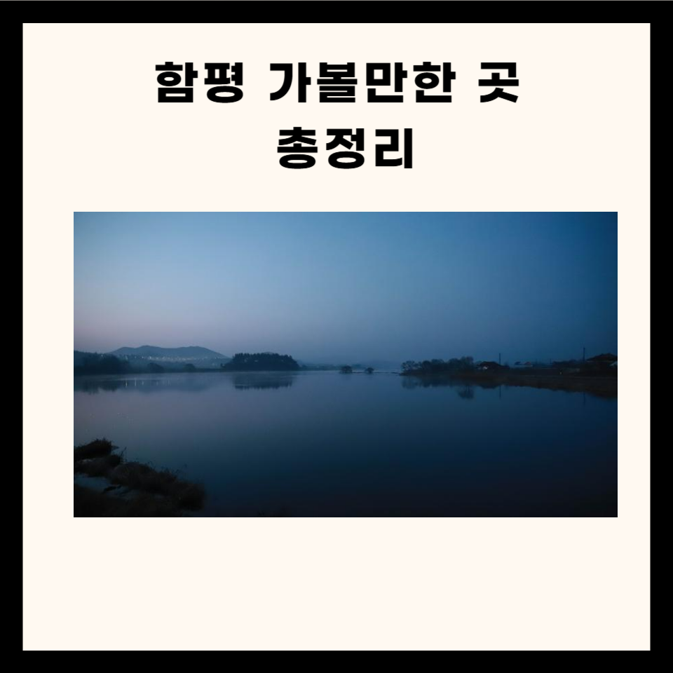 함평 가볼만한 곳 총정리 (카페, 음식점, 명소 5군데)