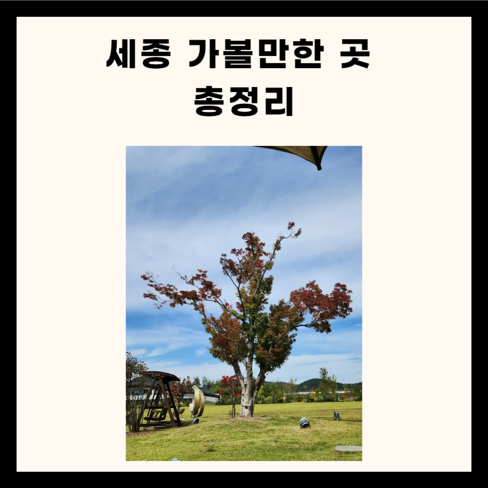 세종 가볼만한 곳 총정리 (카페, 명소, 음식점 5군데)