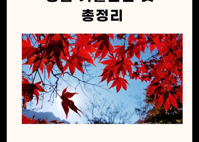 정읍 가볼만한 곳 총정리 (명소, 맛집, 카페, 실내 5군데)