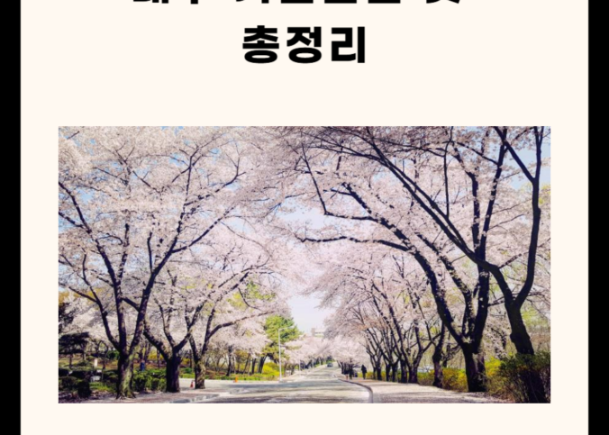 대구 가볼만한 곳 총정리 (명소, 카페, 산, 실내 5군데)