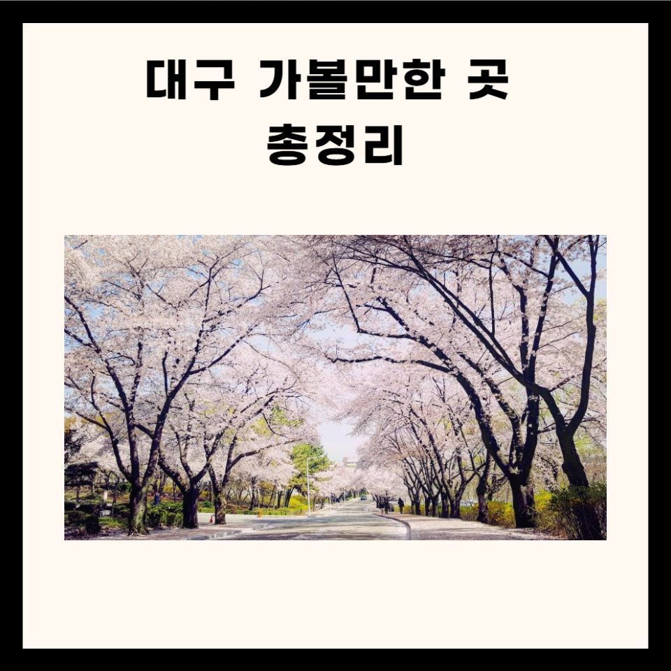 대구 가볼만한 곳 총정리 (명소, 카페, 산, 실내 5군데)