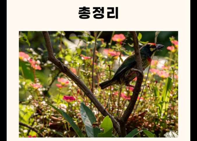 상주 가볼만한 곳 총정리 (카페, 맛집, 명소 5군데)