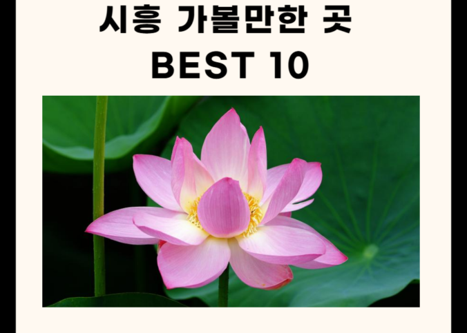 시흥 가볼만한 곳 총정리 (명소, 카페, 맛집, 아이 5곳)