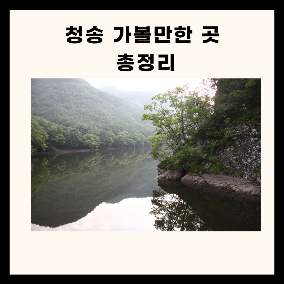 청송 가볼만한 곳 총정리 (명소, 맛집, 카페, 산 5군데)