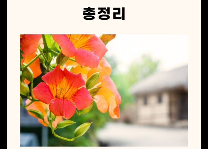 영주 가볼만한 곳 총정리 (명소, 카페, 맛집, 산 5군데)