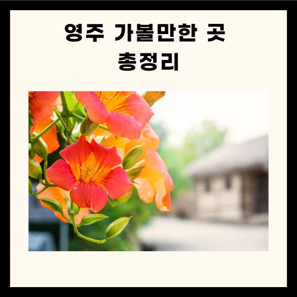 영주 가볼만한 곳 총정리 (명소, 카페, 맛집, 산 5군데)