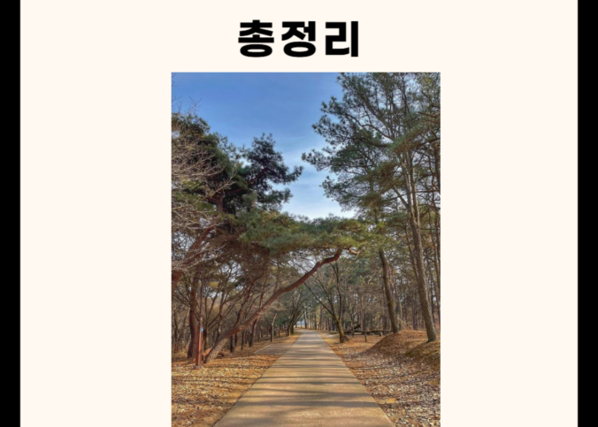 충주 가볼만한 곳 총정리 (맛집, 카페, 산, 명소 5군데)