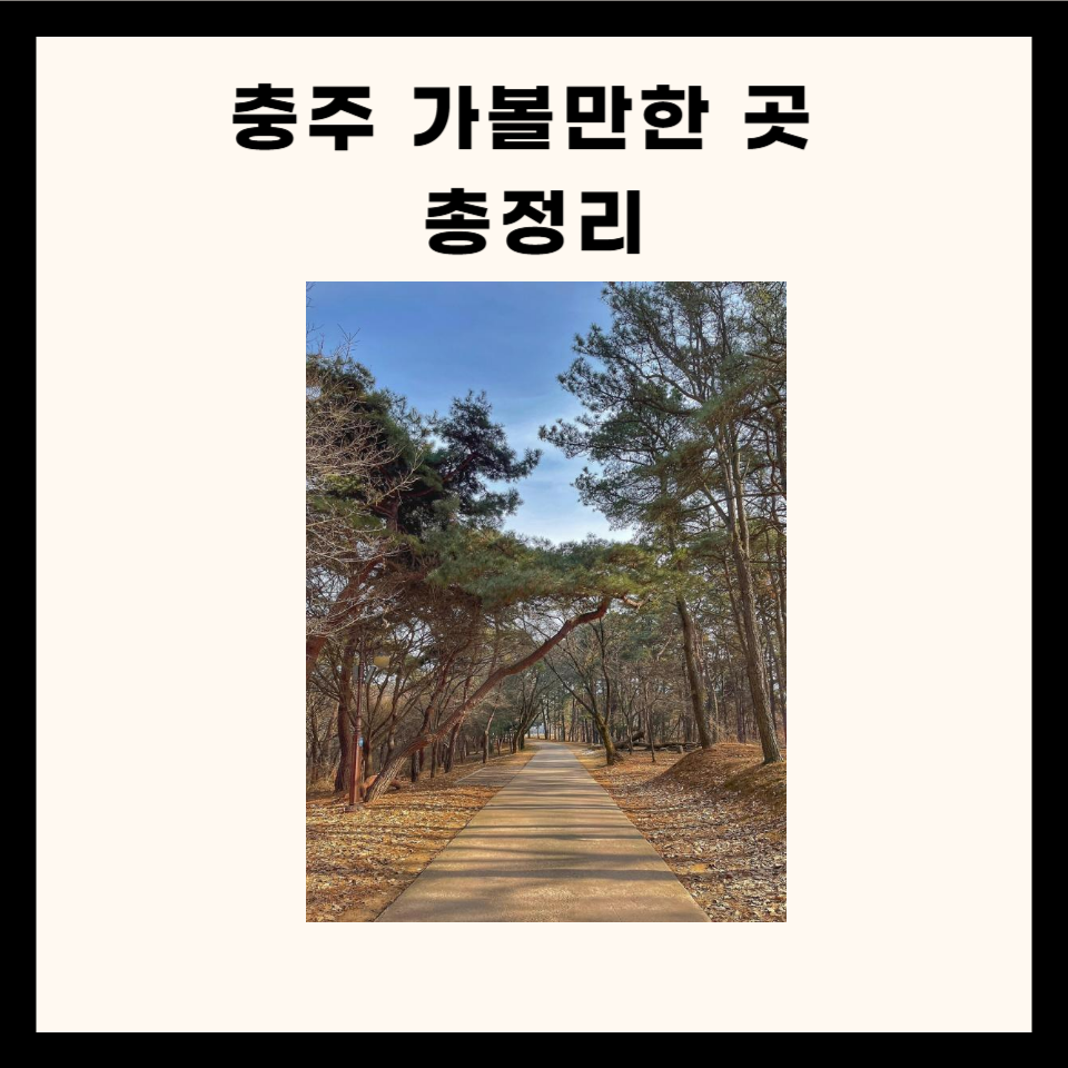 충주 가볼만한 곳 총정리 (맛집, 카페, 산, 명소 5군데)