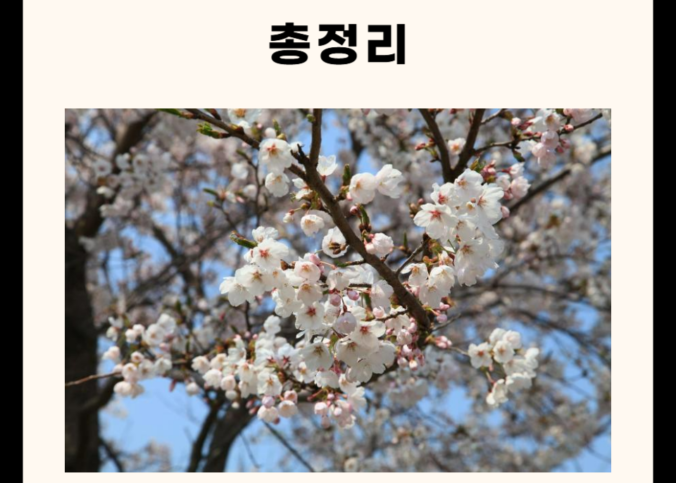 보령 가볼만한 곳 총정리 (카페, 맛집, 산, 명소 5군데)