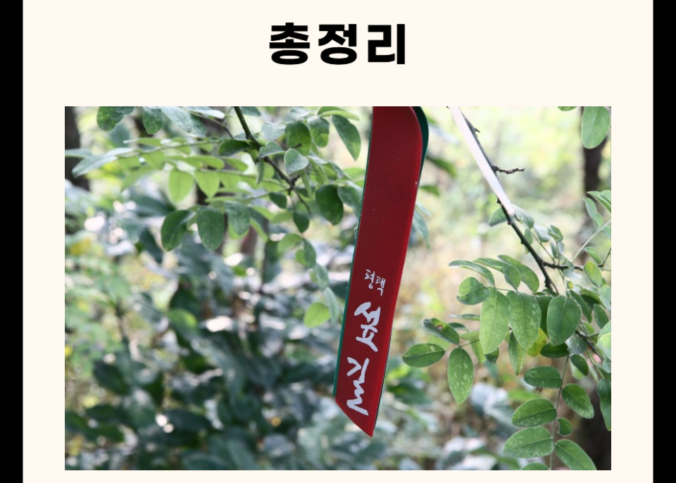 평택 가볼만한 곳 총정리 (카페, 맛집, 명소, 산 5군데)