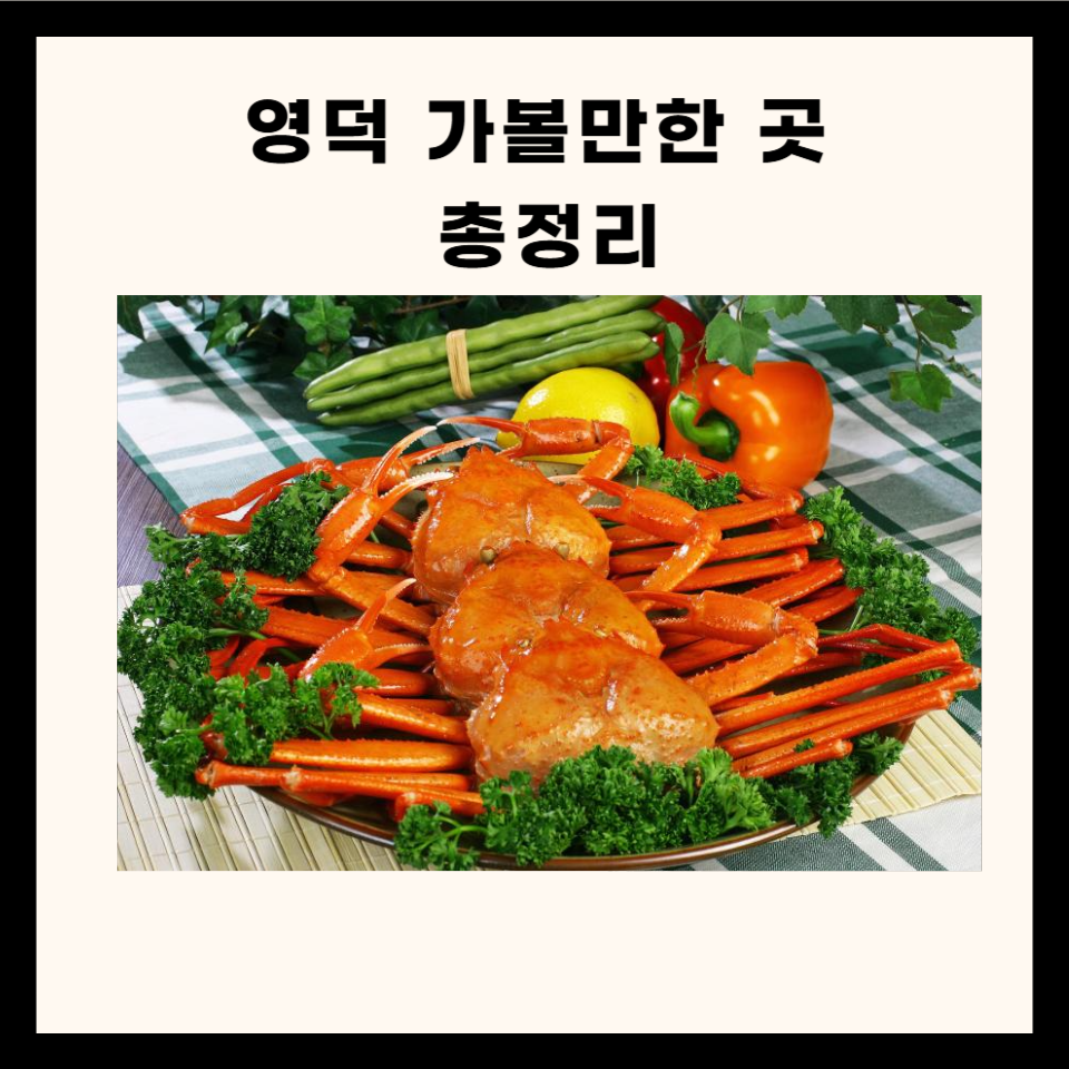 영덕 가볼만한 곳 총정리 (카페, 맛집, 명소, 산책로 5곳)