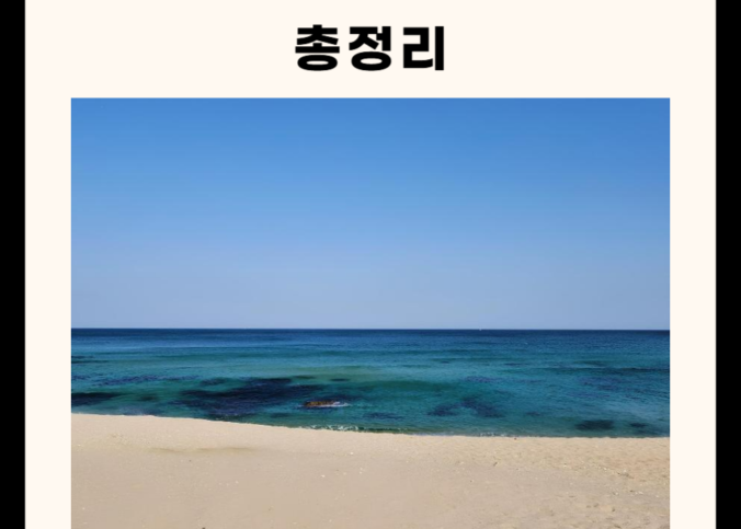 동해 가볼만한 곳 총정리 (실내, 명소, 카페, 맛집 5군데)