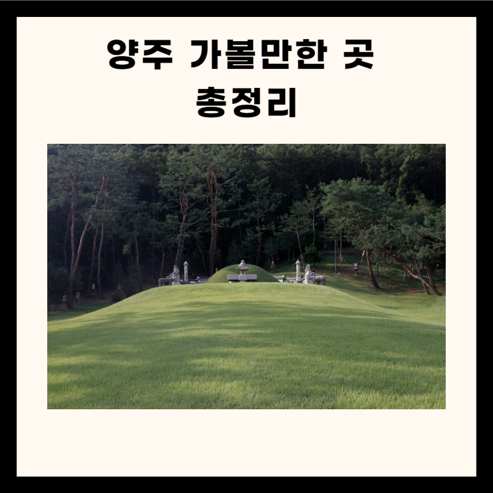 양주 가볼만한 곳 총정리 (명소, 맛집, 카페, 실내 5곳)