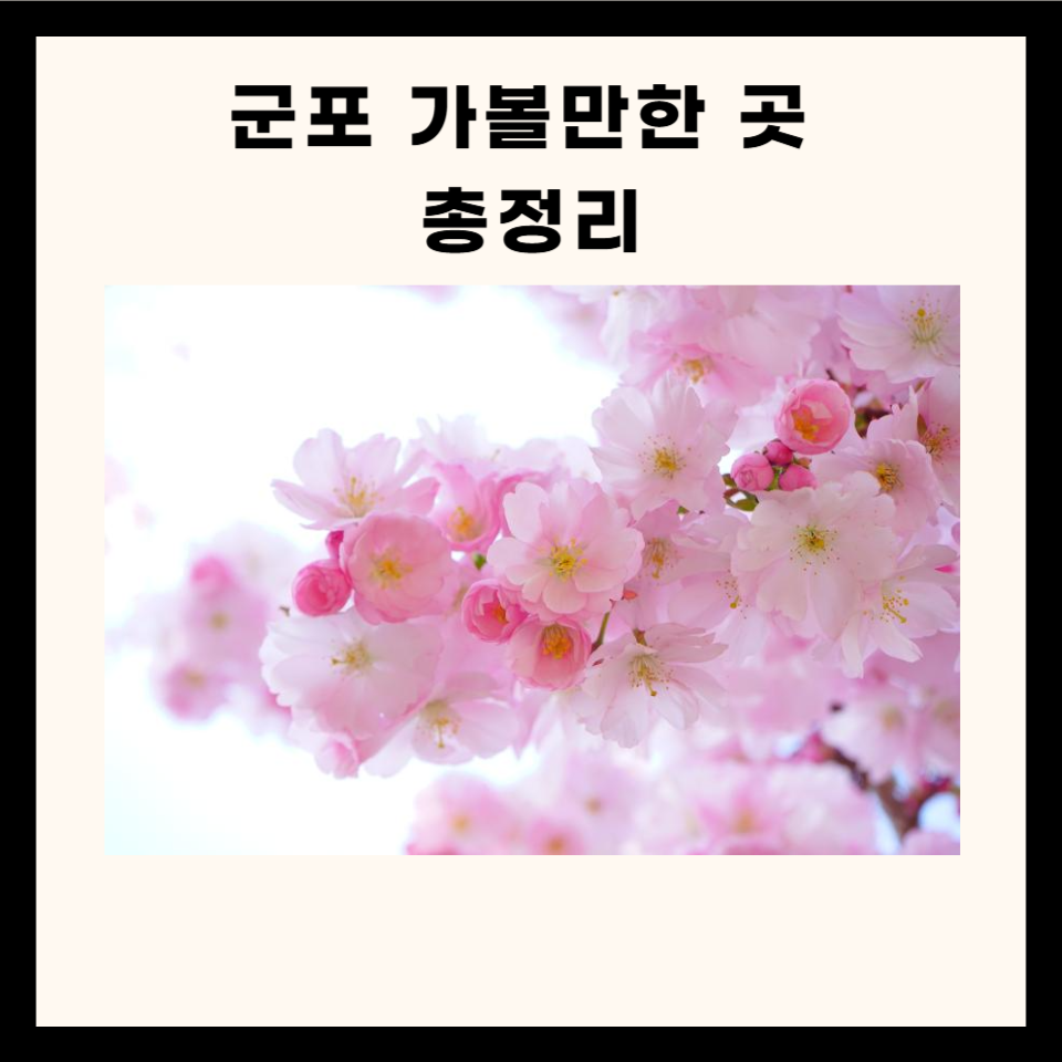 군포 가볼만한 곳 총정리 (명소, 카페, 맛집 5곳)