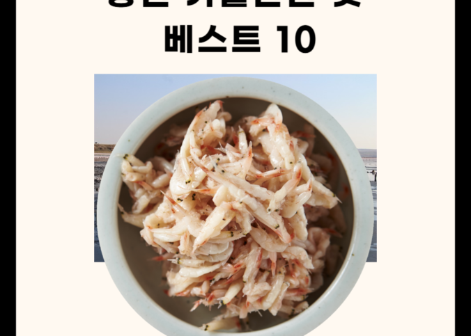 충남 광천 가볼만한 곳 총정리 (맛집, 명소, 카페 5곳)