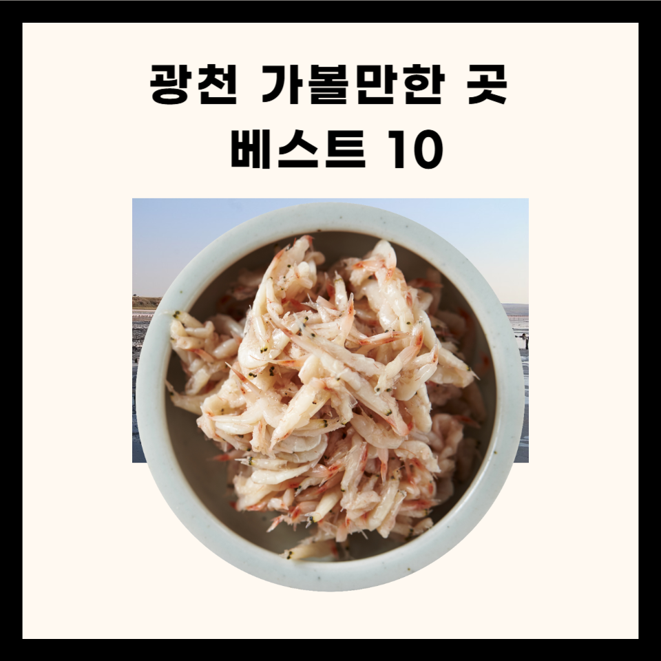 충남 광천 가볼만한 곳 총정리 (맛집, 명소, 카페 5곳)