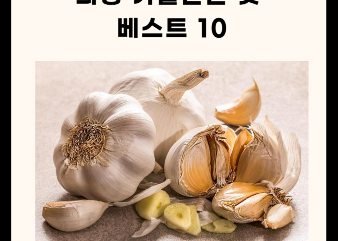 의성 가볼만한 곳 총정리 (명소, 카페, 맛집 5곳)