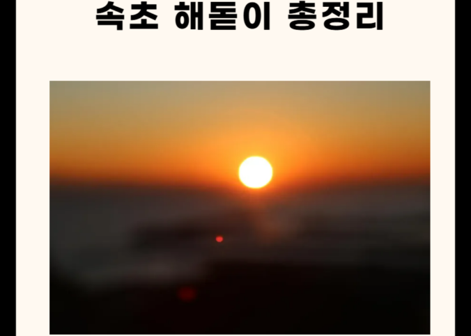 속초 해돋이 관련 총정리!