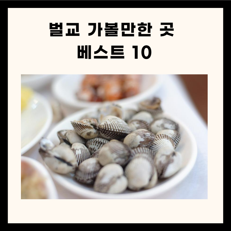 벌교 가볼만한 곳 총정리 (명소, 카페, 맛집 5곳)