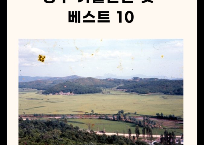 양구 가볼만한 곳 총정리 (명소, 맛집,카페 5곳)