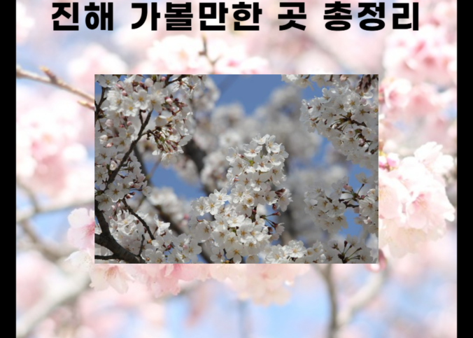 진해 가볼만한 곳 6곳 총정리 (명소, 카페, 맛집)