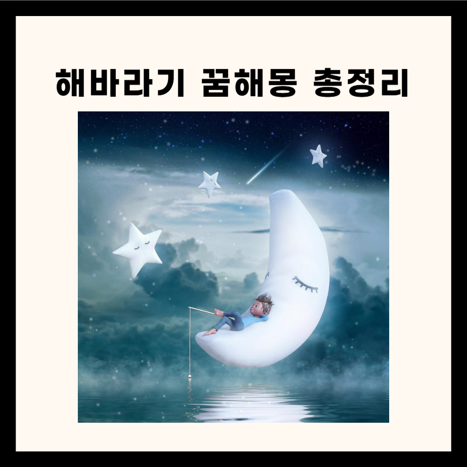 해바라기 관련 꿈해몽 총정리