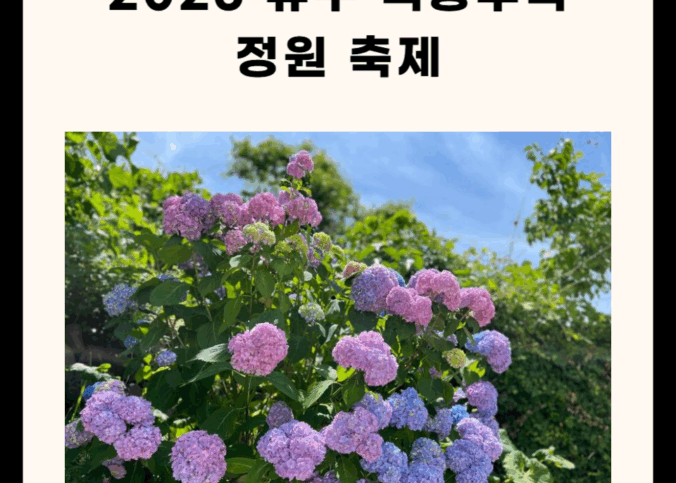 2025 유구 색동수국정원 축제 총정리