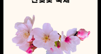2025 금산 보곡산골 산벚꽃 축제 총정리 !