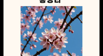 2025 충주 수안보 벚꽃축제