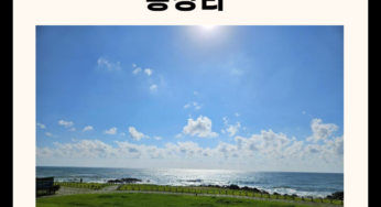 부산 기장 가볼만한 곳 총정리 (명소, 카페, 맛집 5곳)