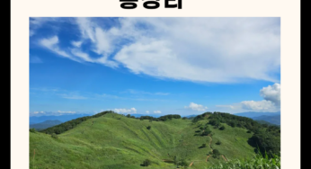 정선 가볼만한 곳 총정리 (명소, 카페, 맛집 5곳)