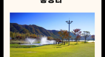 화천 가볼만한 곳 총정리 (명소, 맛집, 카페 5곳)