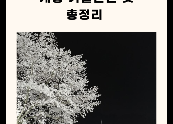 계룡 가볼만한 곳 총정리 (명소, 맛집, 카페 5곳)