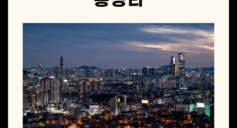 2025 서울 가볼만한 곳 총정리(명소, 카페, 절, 실내 5곳)