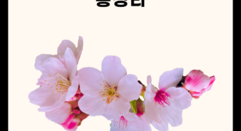 아침고요수목원 봄꽃페스타 관련 총정리!