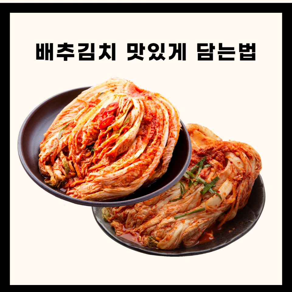 배추김치 맛있게 담는법과 영양성분 총정리