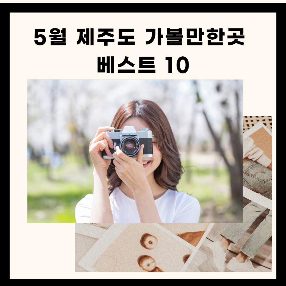 🌿 5월 제주 가볼만한 곳 총정리 (카테고리별 정리)