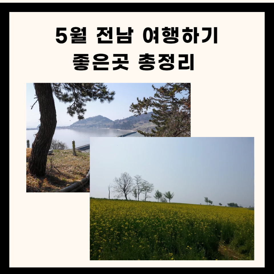 5월 전남 여행하기 좋은곳 총정리
