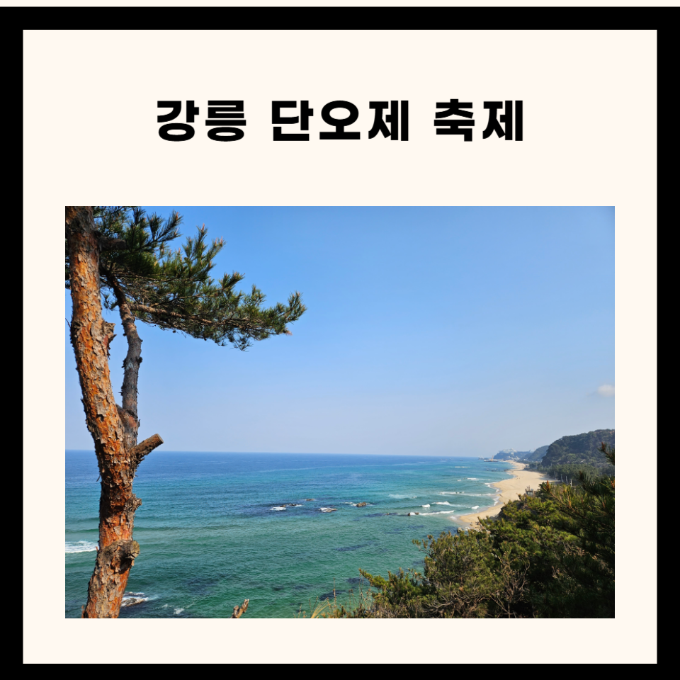 🎊 2025 강릉단오제 일정 총정리 – 전통 문화로 떠나는 8일간의 여정