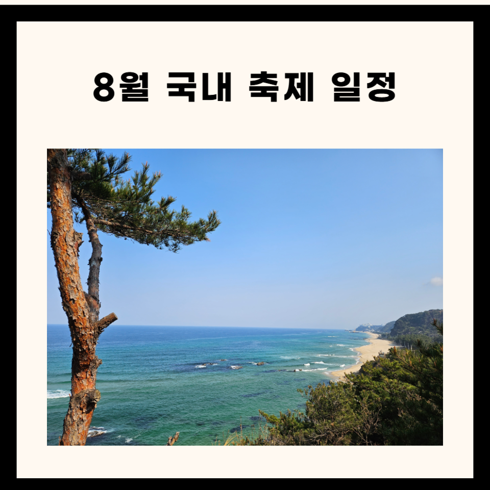 🎉 8월에 꼭 가볼 만한 한국의 축제들